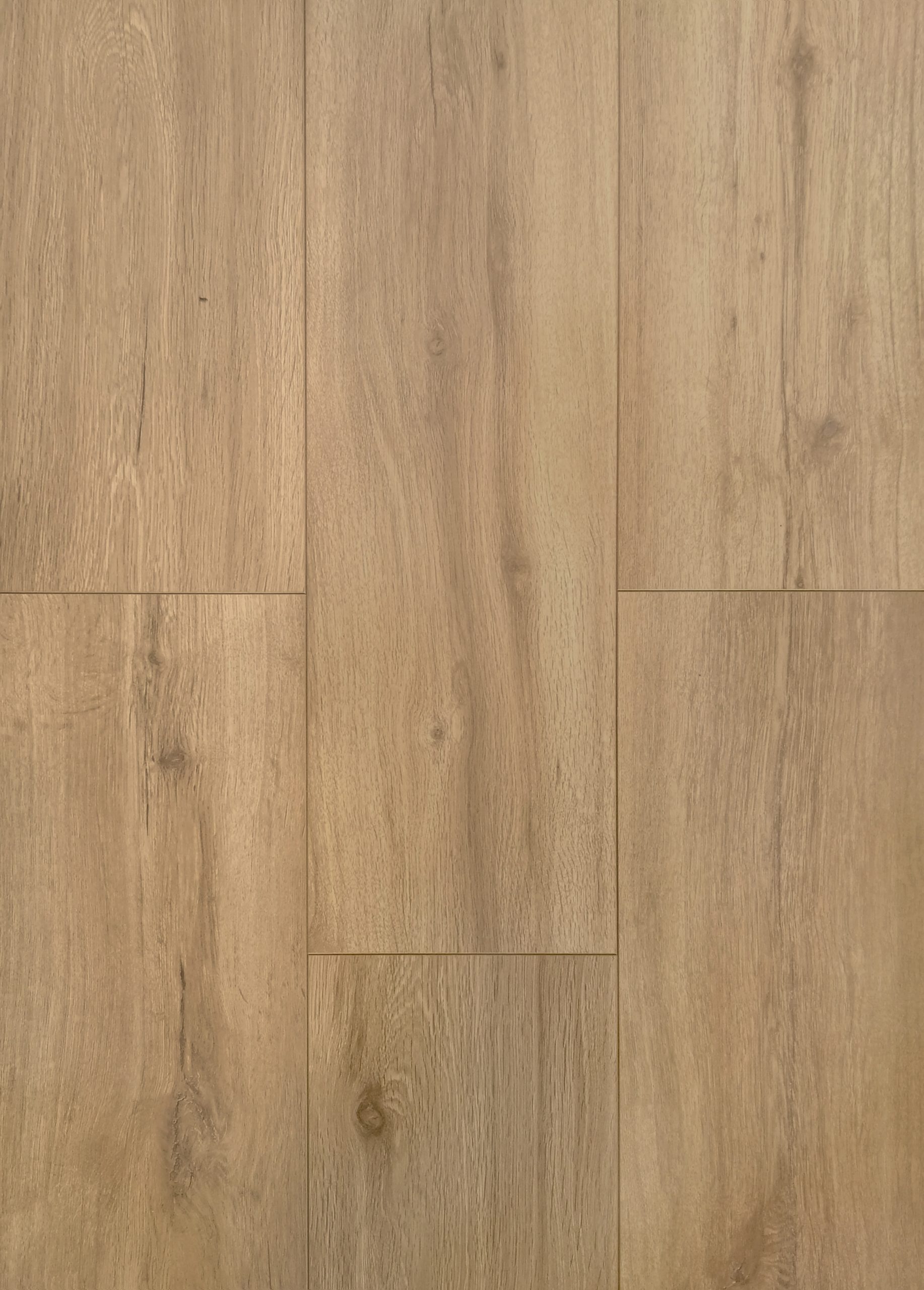 Classic-Oak-Beige-Laminate-Flooring-TG8113